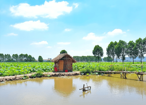 Đầm Sen Quang Châu - Bắc Giang - Việt Yên - Bắc Giang