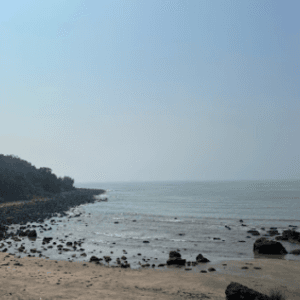 Bãi Tắm Quỳnh Tiến