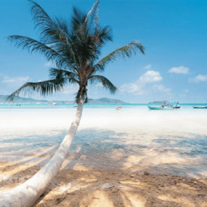 Bãi biển Bai Cay Dua