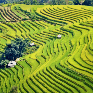 Ruộng Bậc Thang Nàn Xỉn - Xín Mần - Hà Giang