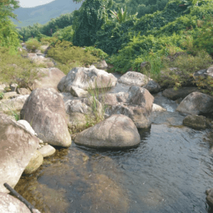 Suối Gò Nay