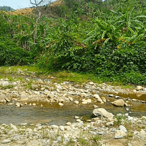 Suối Nước Nóng Pắc Ma