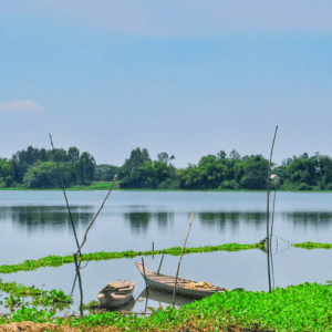 Búng Bình Thiên Lớn - An Phú - An Giang
