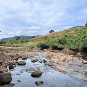 Khu camping Hồ Thủy Điện Đa M'ri