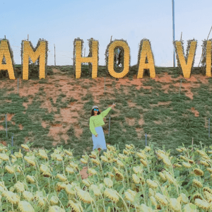 Nam hoa viên - Ninh Phước - Ninh Thuận