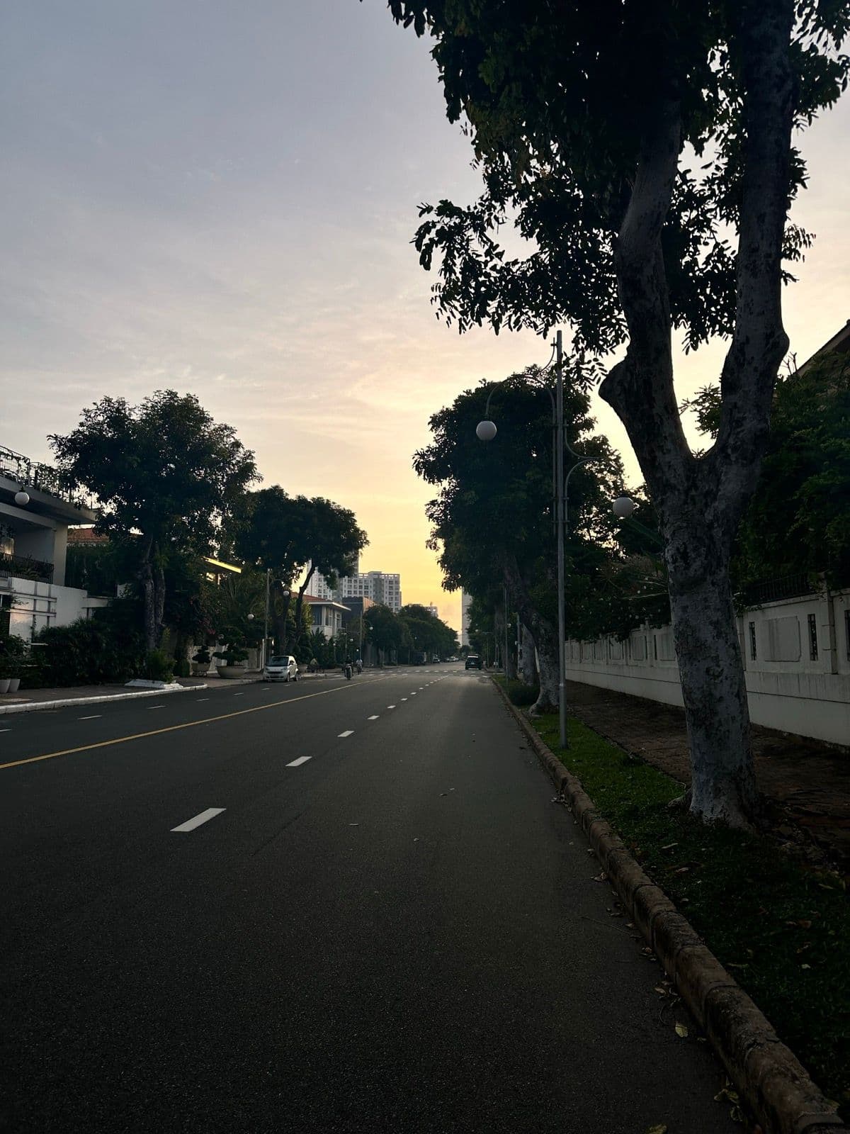 AR Saigon (Adidas Running Saigon)