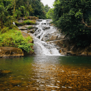 Thác Đầu Trâu