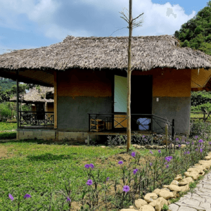 Nasan Green Farm