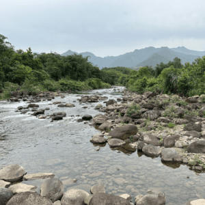 Cọp Cóng - khe tiên - Hải Hà - Quảng Ninh