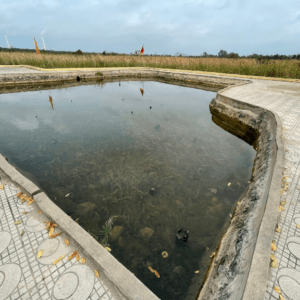 Bãi cọc Yên Giang-Bạch Đằng - Yên Hưng - Quảng Ninh