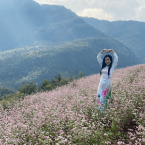 Vườn Tam giác Mạch Đồng Văn - Đồng Văn - Hà Giang