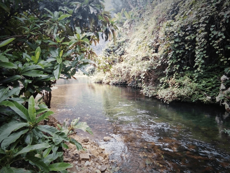 Tốc Tát - Chiêm Hóa - Tuyên Quang
