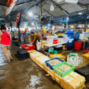 Chợ Hải sản Cửa Lò - Cửa Lò - Nghệ An