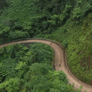 Khu bảo tồn Sao La - A Lưới - Thừa Thiên Huế