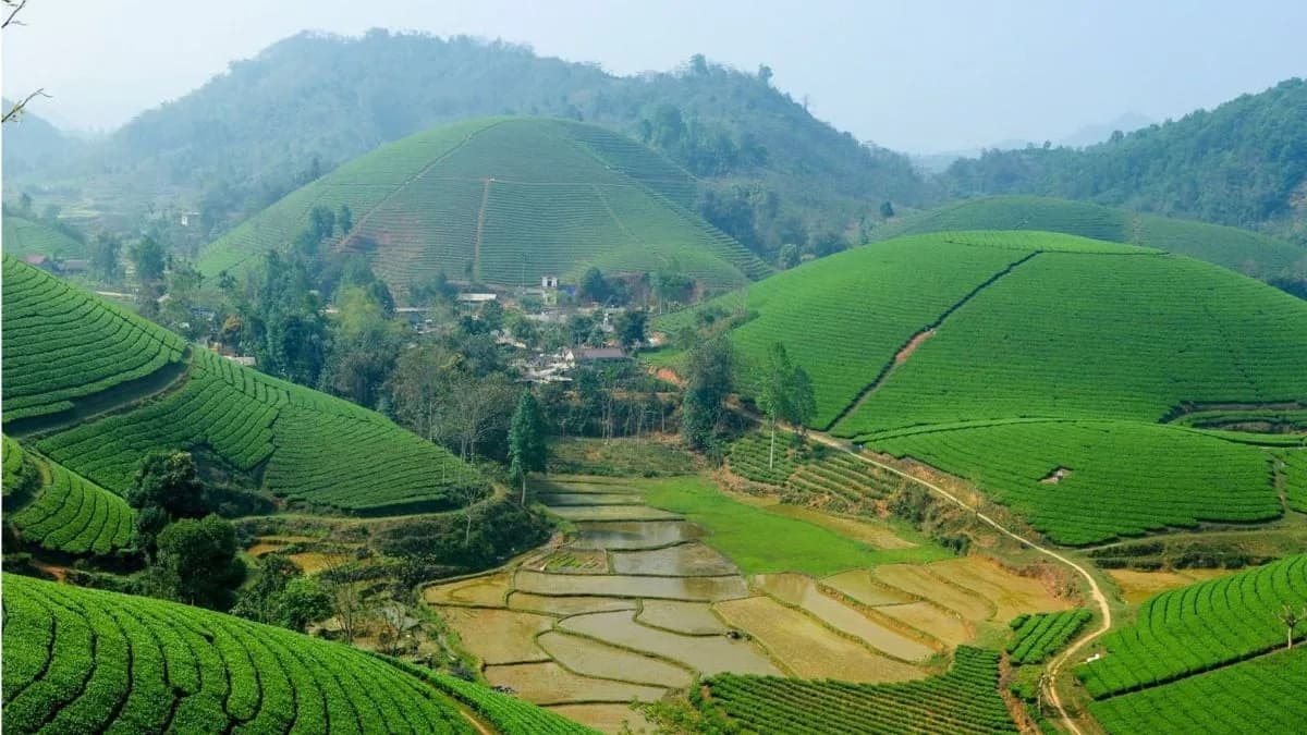 Yen Bai Trekking