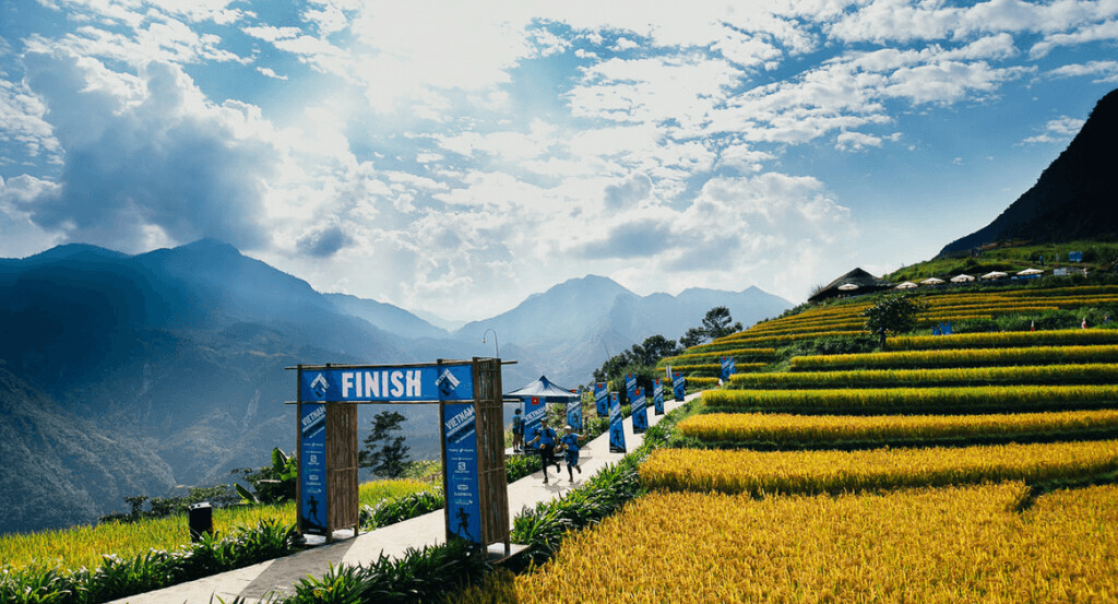 Khám phá những giải chạy marathon đỉnh cao ở Việt Nam - Hành trình của 1 runner bắt đầu