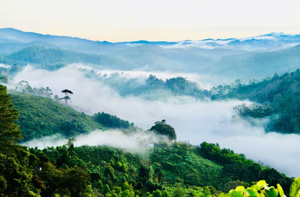 Khám phá Măng Đen với top 6 nơi nghỉ dưỡng tuyệt vời không nên bỏ lỡ
