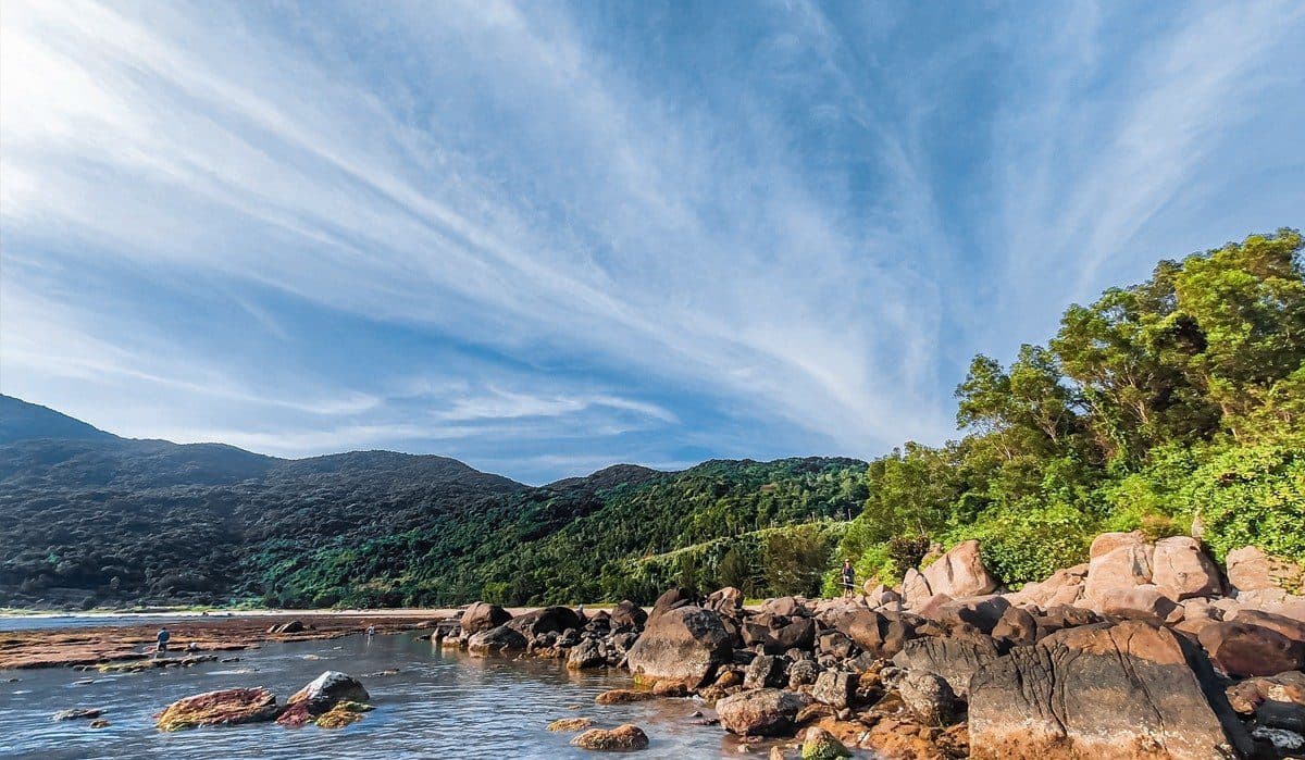 Unveiling Son Tra Danang: Discovering the hidden gem peninsula
