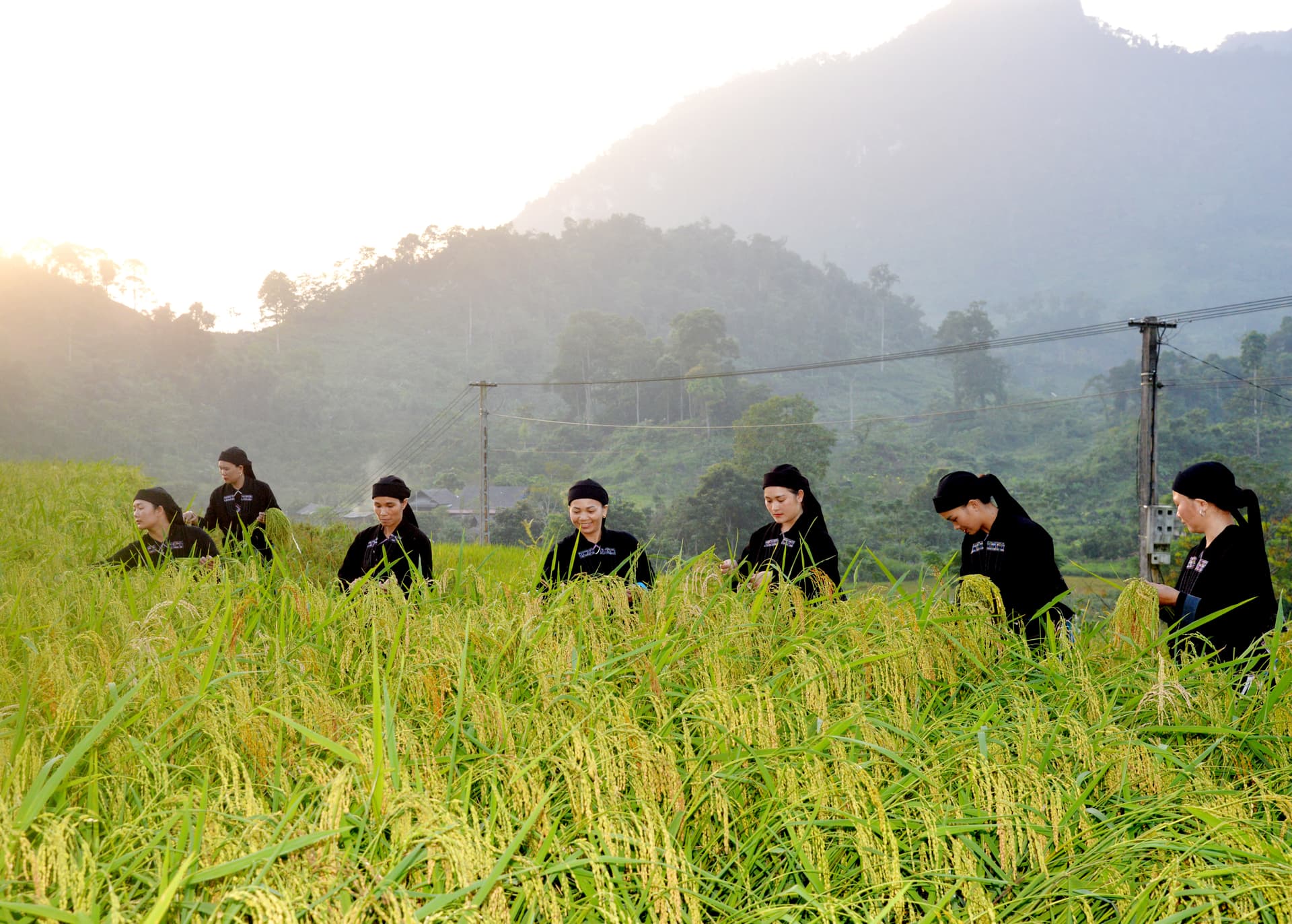 La Chi Ethnic Group Vietnam: Guardians of the Mountains and Ancient Traditions