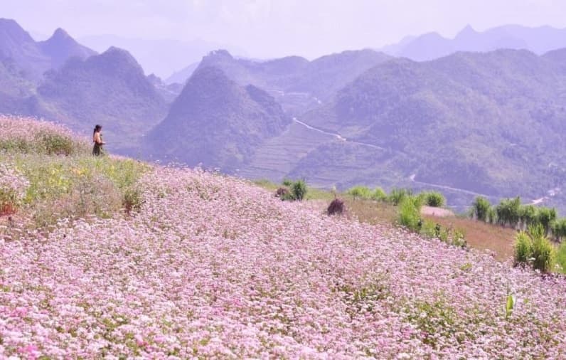 Adventure Travel Vietnam App: Hidden Gems for an Unforgettable Northern Vietnam Trip