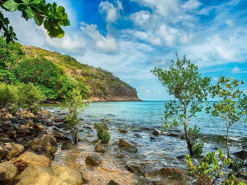 Best Value Travel Destination 2026: Incredible Reasons Travelers Are Choosing Vietnam