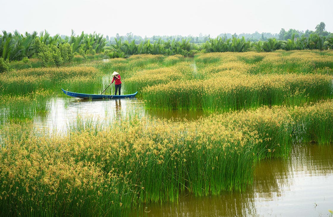 Mekong Delta Travel Guide 2026: The Ultimate Secrets to an Unforgettable River Experience