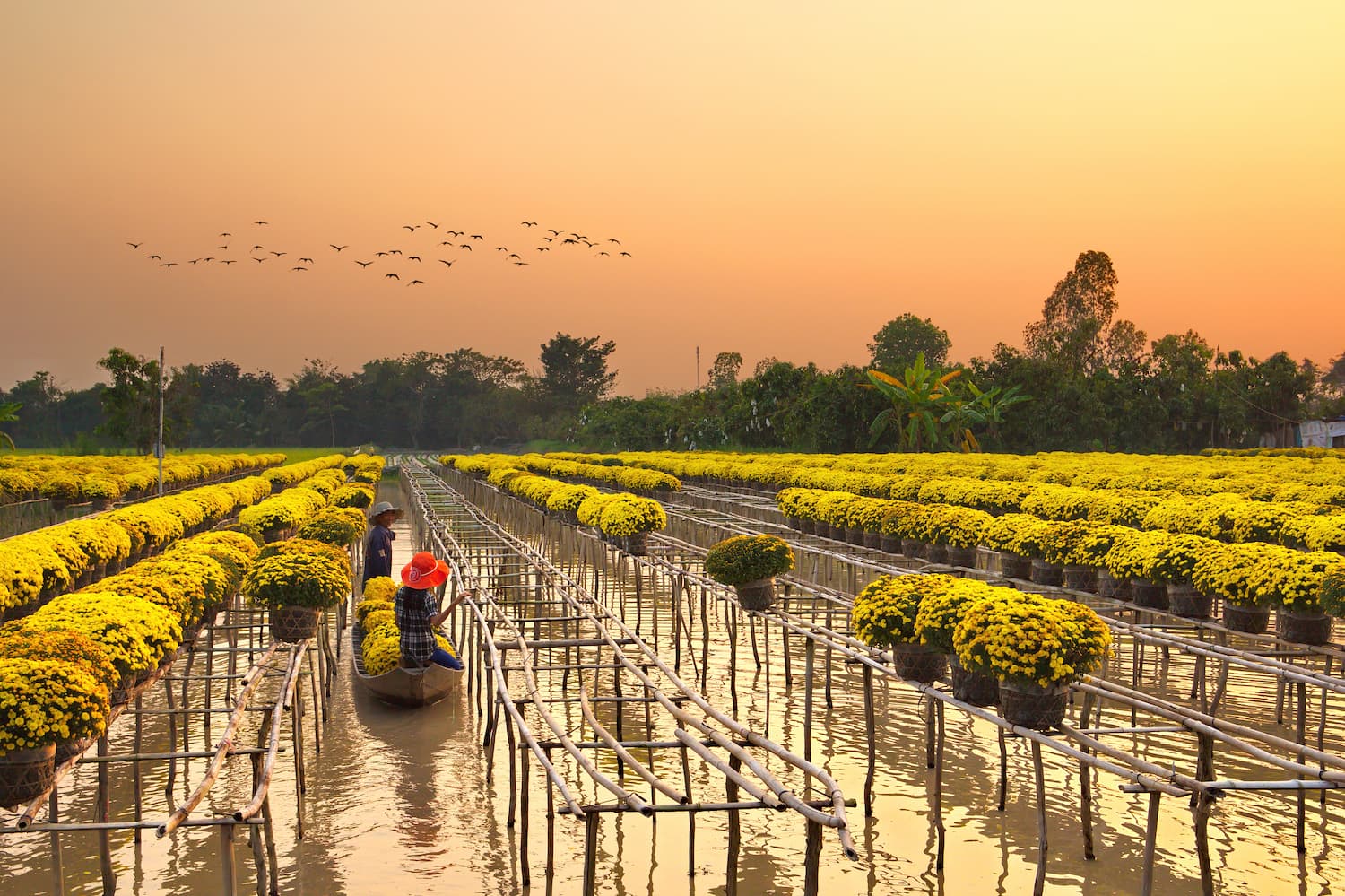 Amazing Mekong Delta Travel Guide for Relaxation: 5 Ultimate Secrets to a River Reset