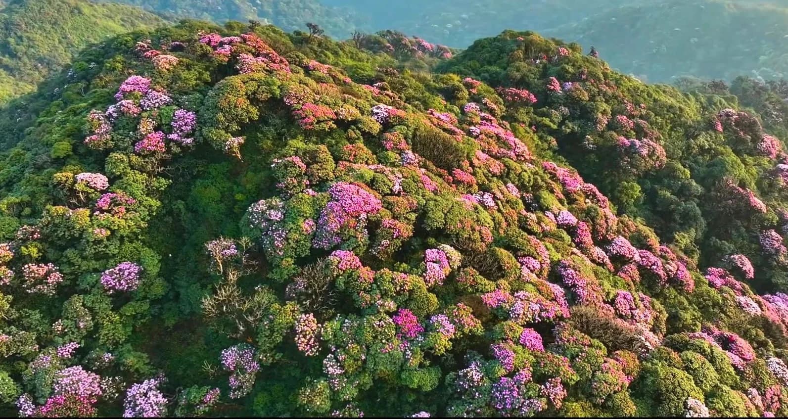 Northern Vietnam Mountain Expeditions: Uncovering Vietnam’s Hidden Rhythms
