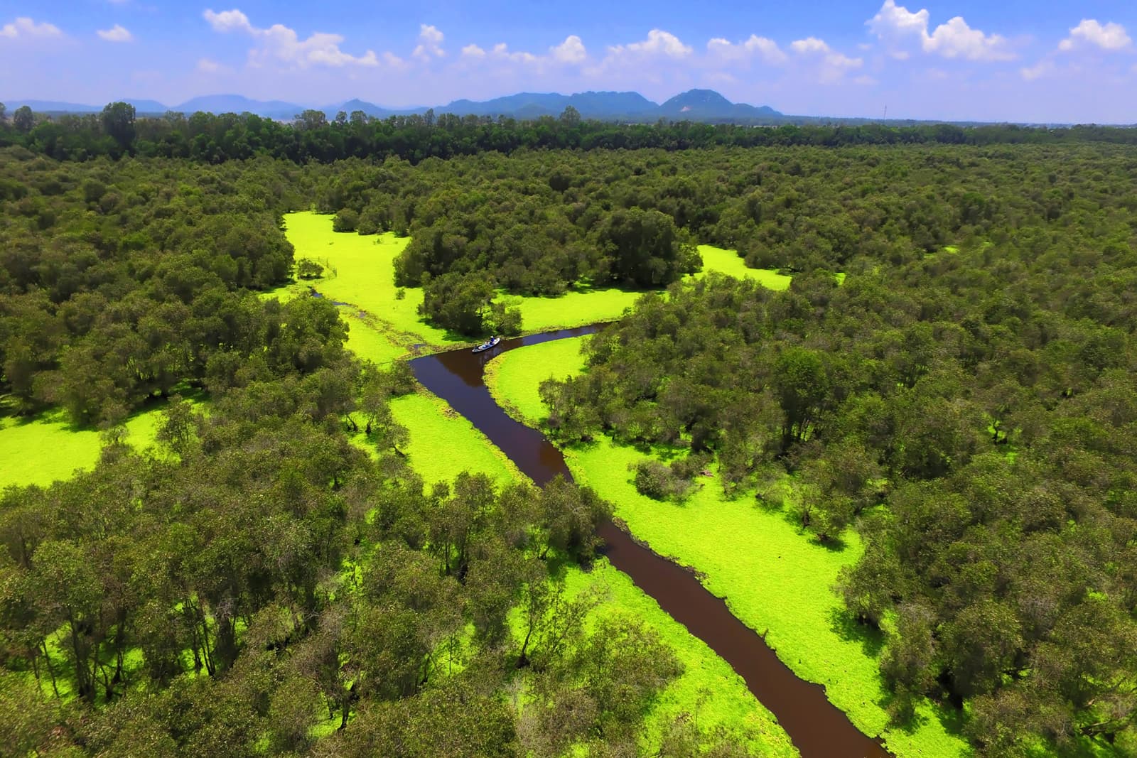 Amazing Secrets of Eco-friendly Mekong Delta Tours: The Ultimate Sustainable Guide