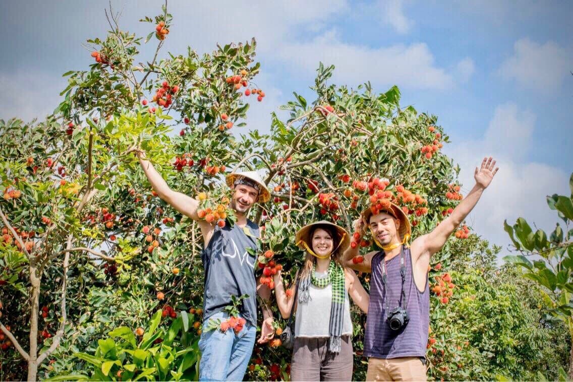 The Responsible Travel Vietnam Guide: Pro Secrets for a Heart-Centered Mekong Journey