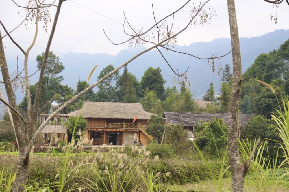 Nam Dam Village Ha Giang: Discovering the Earth and Ink of Zao Culture