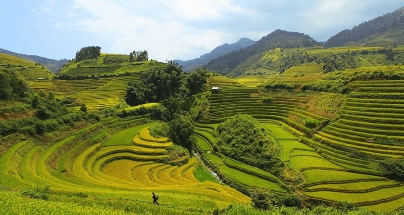 Best Eco Tourism Destinations in Vietnam: Journey to the Primitive North
