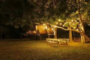 Cham Charm Camp Lodge Ninh Thuận