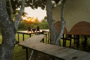 Cham Charm Camp Lodge Ninh Thuận