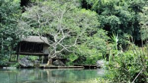 Đập Bắc Mỏ