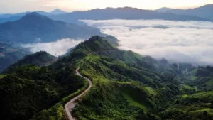 Điểm săn mây Tăk Pổ