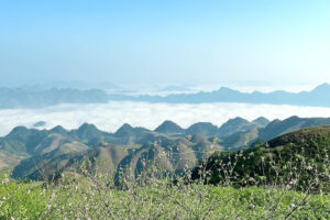 Đỉnh Tò Bò