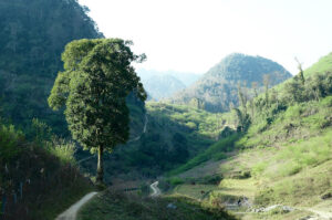Đỉnh Tò Bò