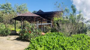 Family Farmstay Măng Đen