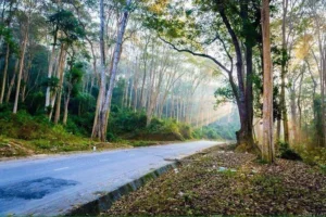 Khu du lịch Khe Cớ