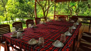 Khu du lịch sinh thái Nhà Xưa