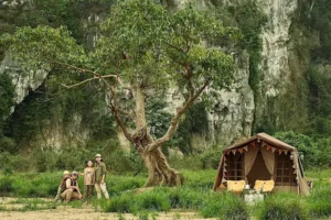 Michi Camp