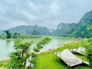 Michi Camp
