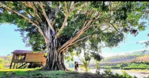 Nhà Rông Konklor Kon Tum