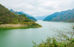 Tuyệt Tình Cốc Đồng Nghê