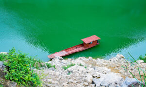 Tuyệt Tình Cốc Đồng Nghê