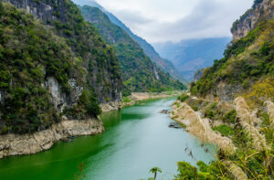 Tuyệt Tình Cốc Đồng Nghê