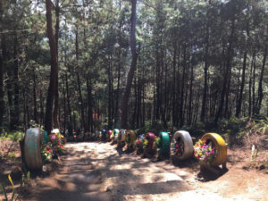 Đồi Thông Tả Lèng