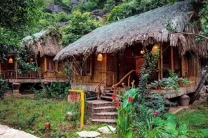 An's Eco Garden
