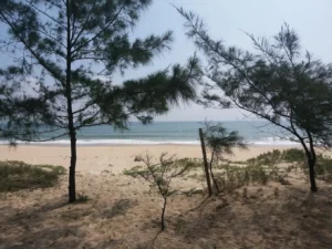 Bãi biển Trung Giang